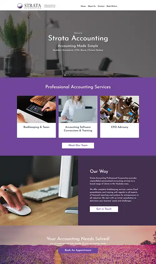 Accounting website tools